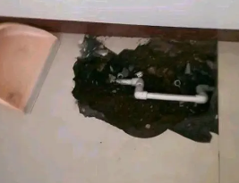 襄州卫生间测漏水多少钱